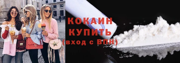mix Бородино