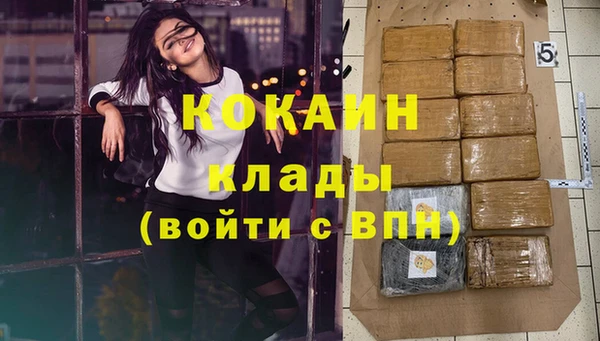 сатива Струнино