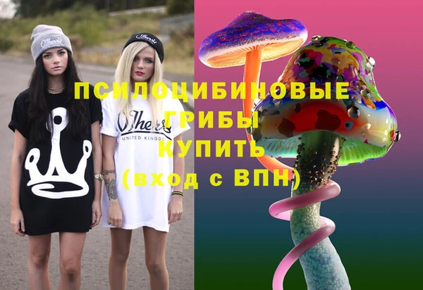 ешки Богданович