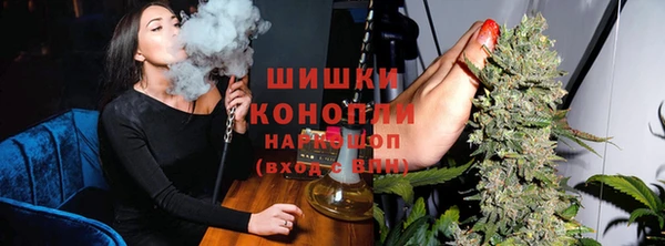 мдпв Бронницы
